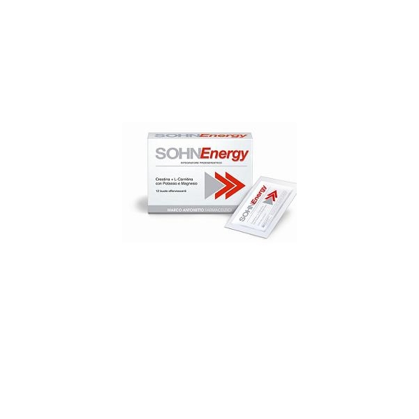 SOHN ENERGY EFFERV 12BUST