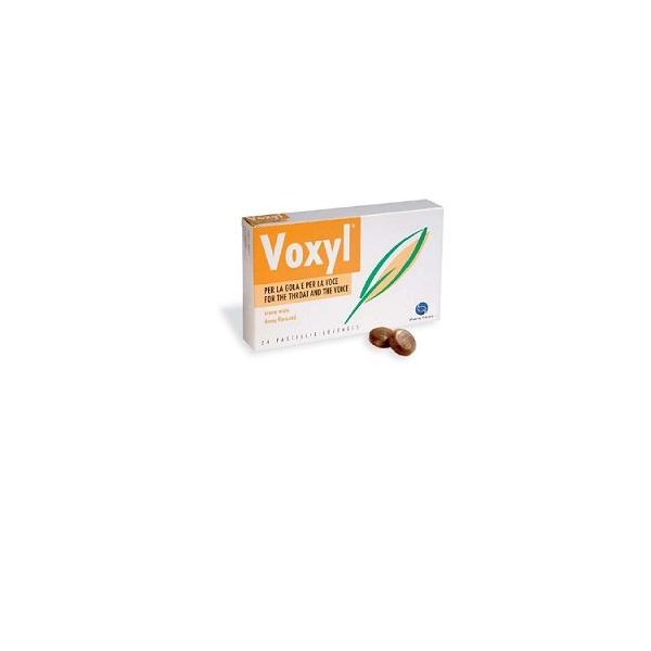 VOXYL 24PAST 60G