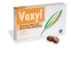 VOXYL 24PAST 60G