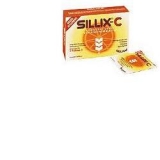 SILLIX C GIULIANI 22BUST