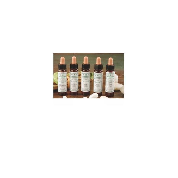 AINSWORTHS WALNUT 10ML