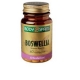 BODY SPRING BOSWELLIA 40CPR