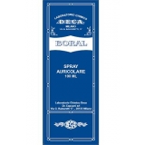 BORAL SPRAY AURICOLARE 100ML