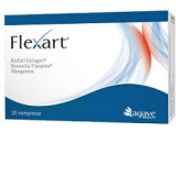 FLEXART 20CPR NF